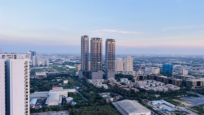 Whizdom The Forestias