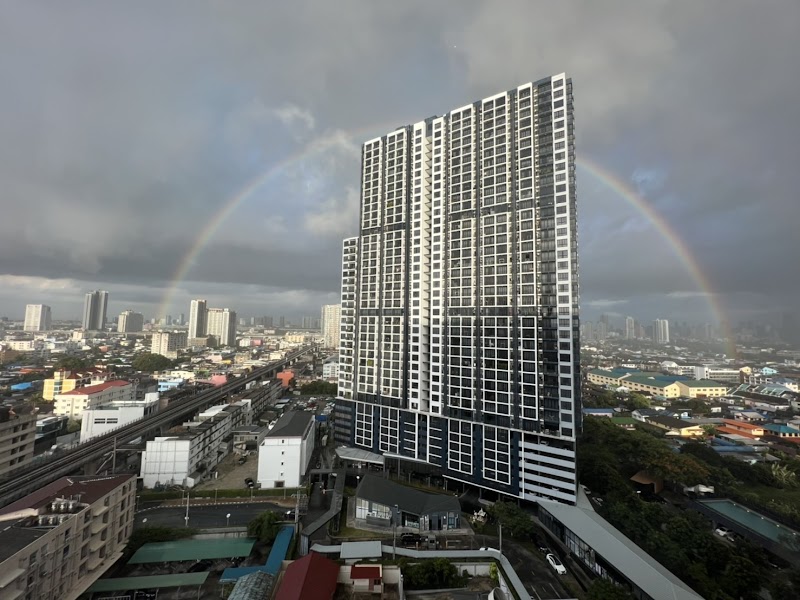 The Tree Interchange