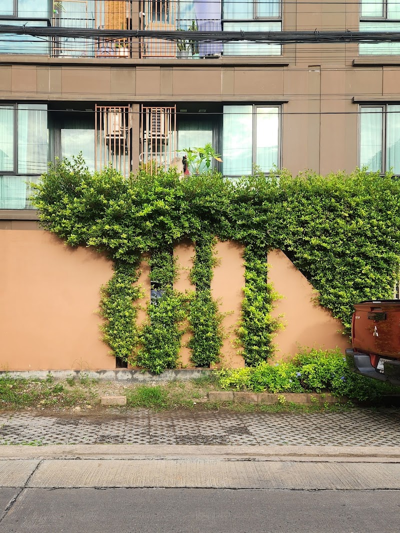 Brown Condo Ratchada 32