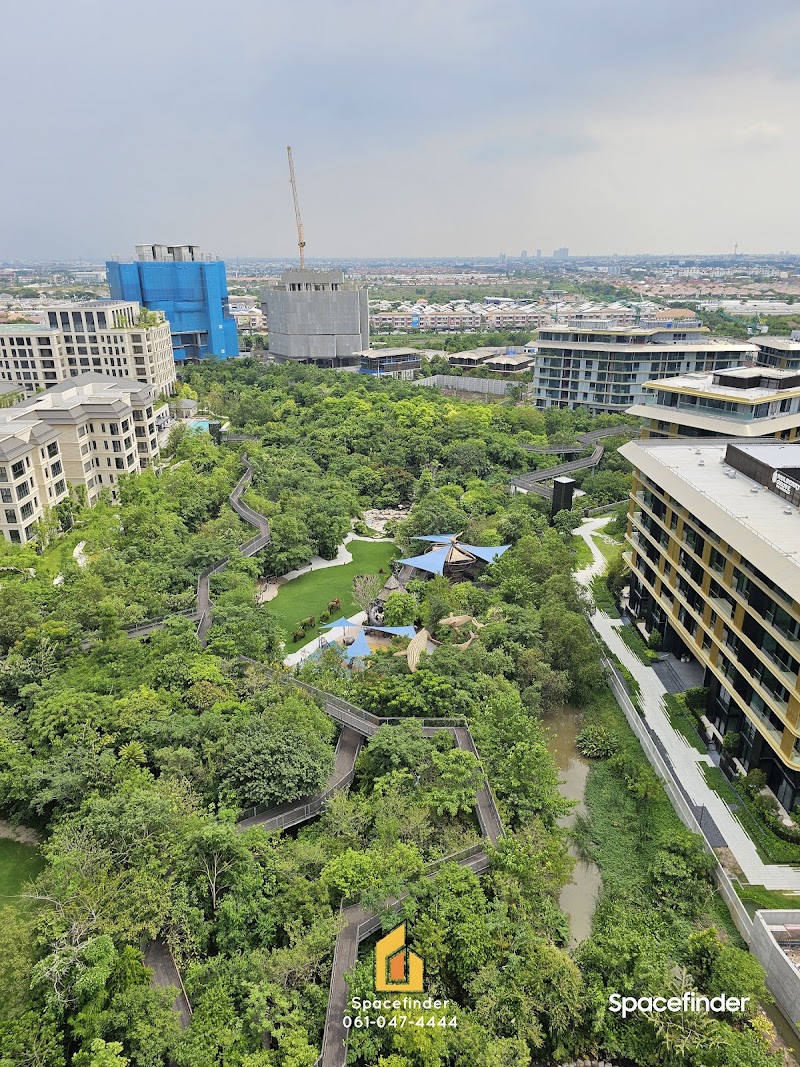 Whizdom the Forestia Petopia