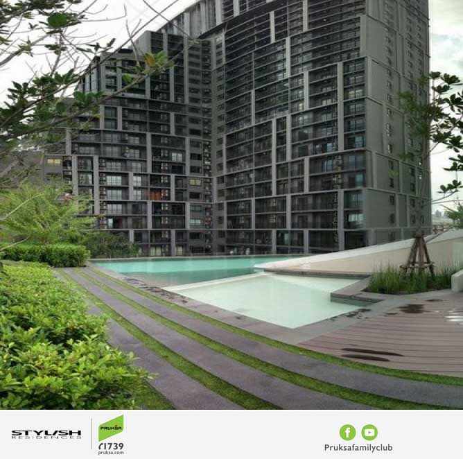 The Seed Mingle, Suanplu Soi 8